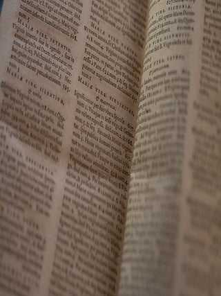Commentarii Exegetici in Apocalypsim Ioannis Apostoli