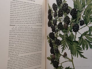 The Small Fruits of New York; Report of the New York State Agricultural Experiment Station for the Year Ending June 30, 1925 II